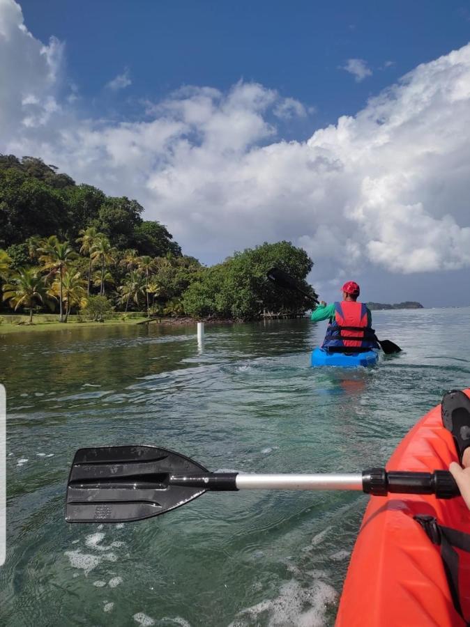 Rainforest Lodge Del Rio Portobelo Kültér fotó