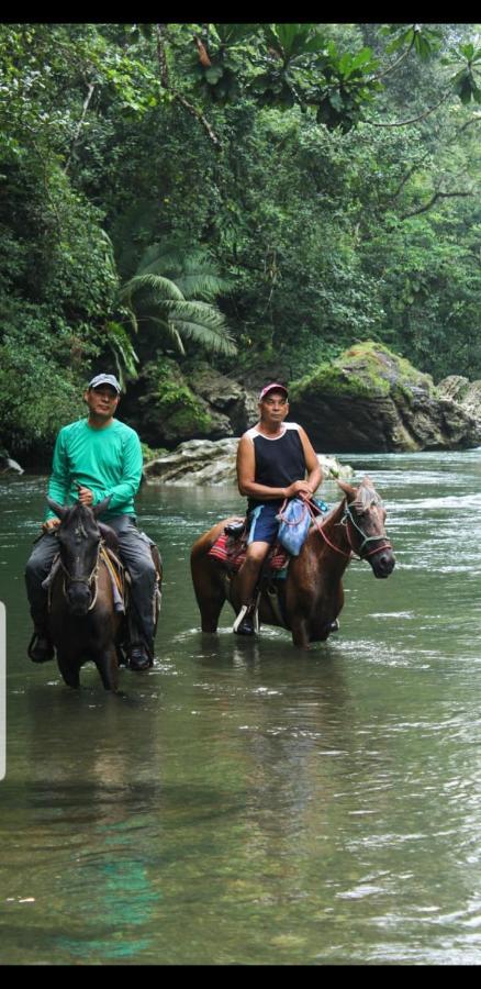 Rainforest Lodge Del Rio Portobelo Kültér fotó
