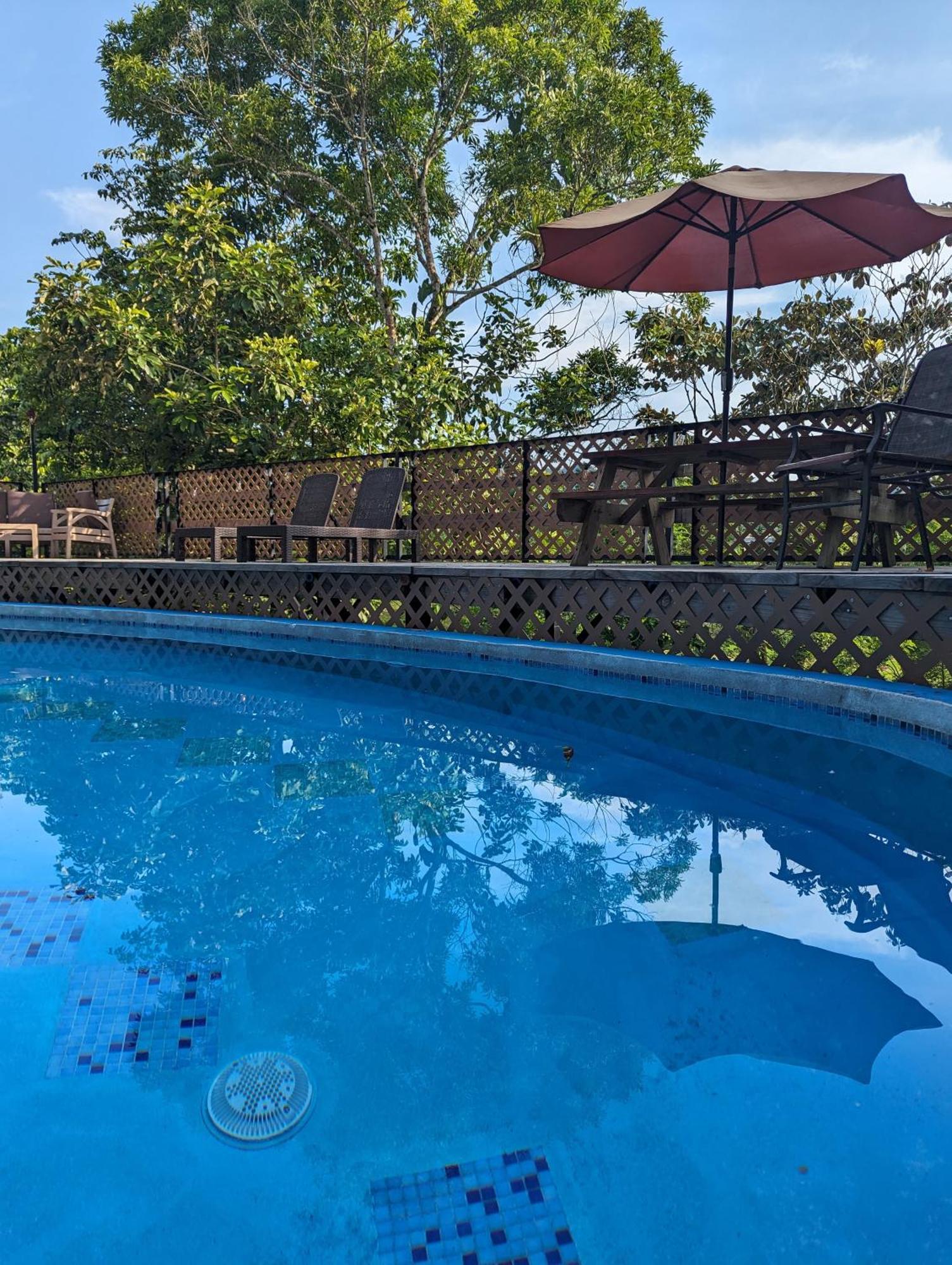 Rainforest Lodge Del Rio Portobelo Kültér fotó