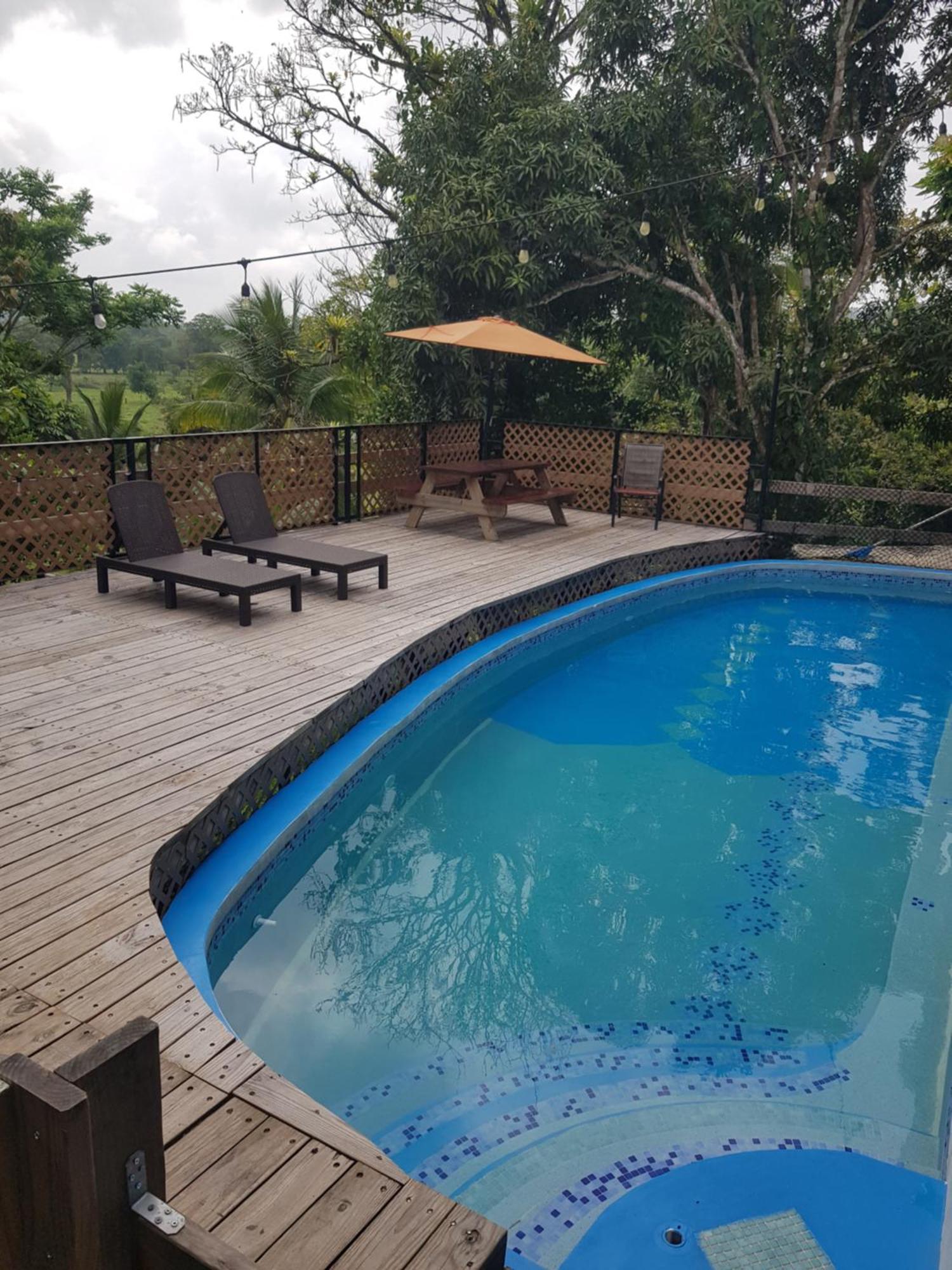 Rainforest Lodge Del Rio Portobelo Kültér fotó