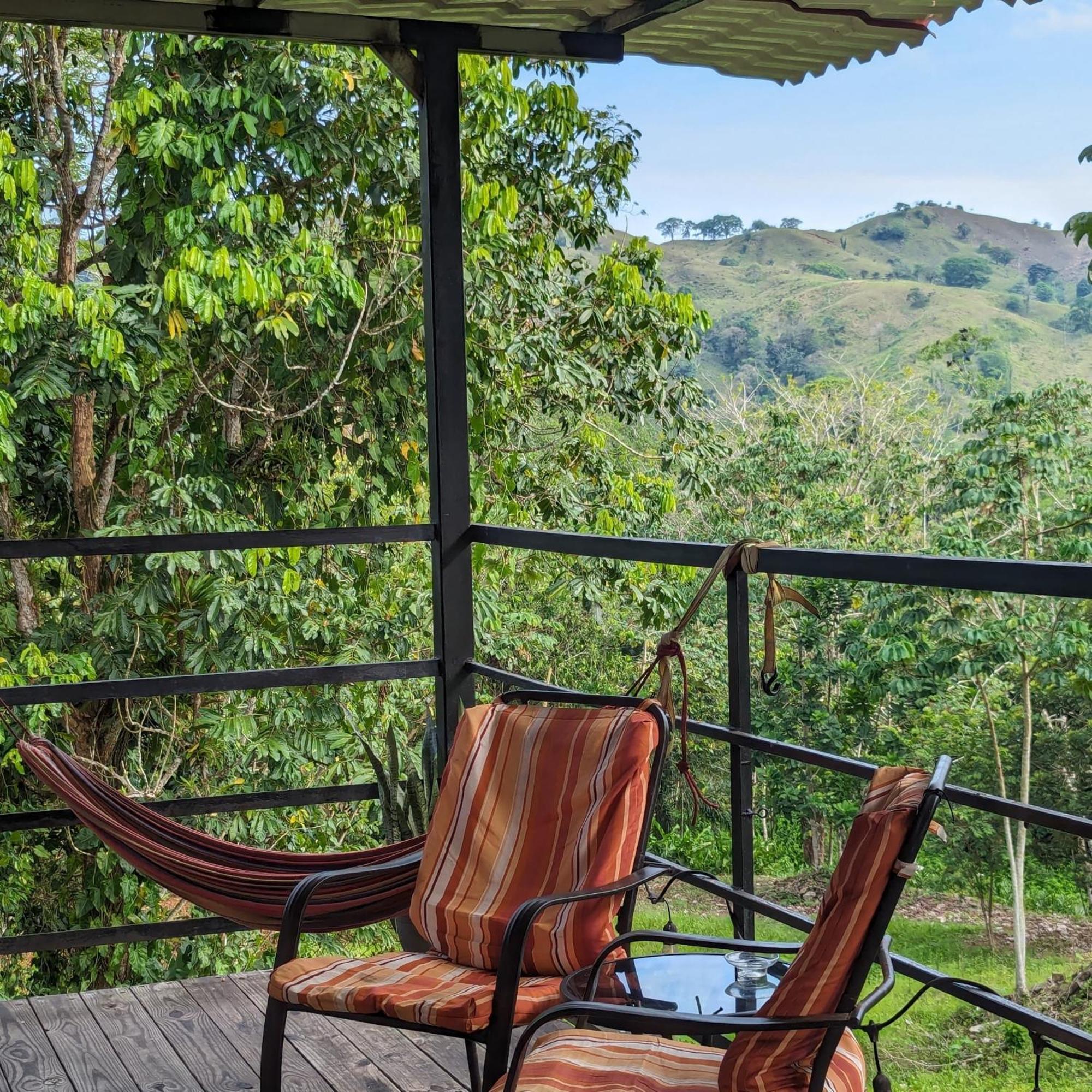 Rainforest Lodge Del Rio Portobelo Kültér fotó